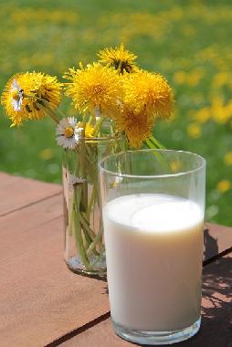 Holiday Apartment in Urweiler (St. Wendel) or holiday homes and vacation rentals