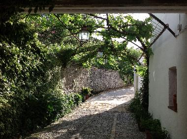 Holiday House in Montefrio (Granada) or holiday homes and vacation rentals