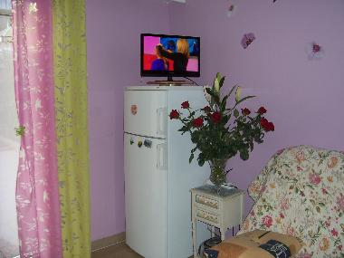 Holiday Apartment in cannes (Alpes-Maritimes) or holiday homes and vacation rentals