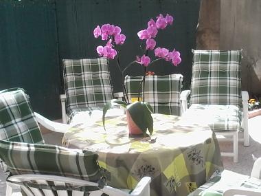 Holiday Apartment in cannes (Alpes-Maritimes) or holiday homes and vacation rentals