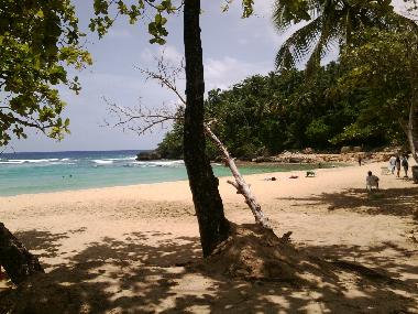 Holiday Apartment in Cabarete (Puerto Plata) or holiday homes and vacation rentals