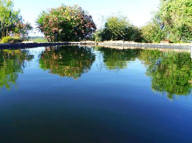 Holiday House in Santiago do Cacm (Alentejo Litoral) or holiday homes and vacation rentals