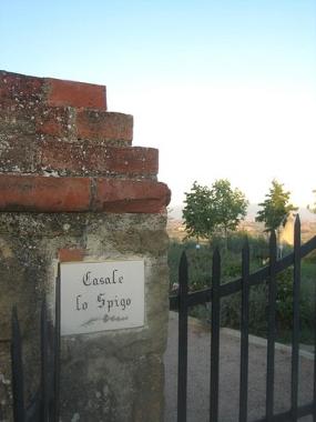 Holiday Apartment in Monte san savino (Arezzo) or holiday homes and vacation rentals