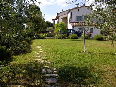 Holiday Apartment in Monte san savino (Arezzo) or holiday homes and vacation rentals