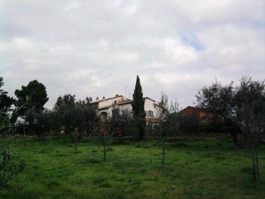 Holiday Apartment in Monte san savino (Arezzo) or holiday homes and vacation rentals