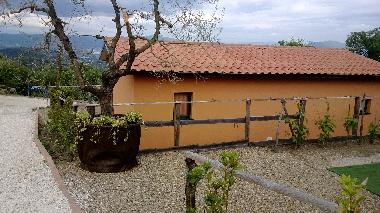 Holiday Apartment in Tuori (Arezzo) or holiday homes and vacation rentals