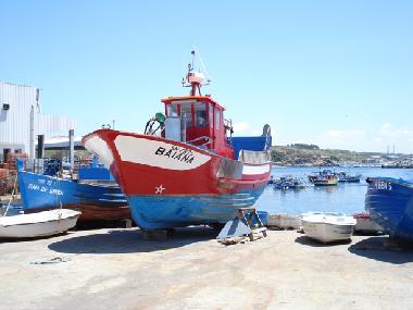 Holiday House in Santiago do Cacm (Alentejo Litoral) or holiday homes and vacation rentals