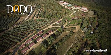 Holiday Apartment in Tuori (Arezzo) or holiday homes and vacation rentals