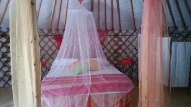 Holiday Apartment in Tuori (Arezzo) or holiday homes and vacation rentals