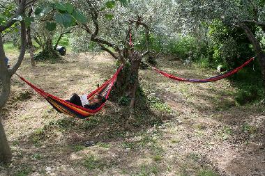 Holiday House in zagora (Magnisia) or holiday homes and vacation rentals