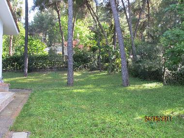 Holiday House in SANI BEACH (Chalkidiki) or holiday homes and vacation rentals