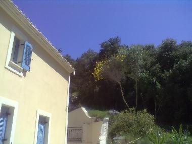 Villa in Antipata (Kefallinia) or holiday homes and vacation rentals