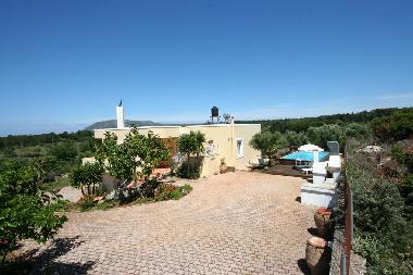 Villa in Chania (Chania) or holiday homes and vacation rentals