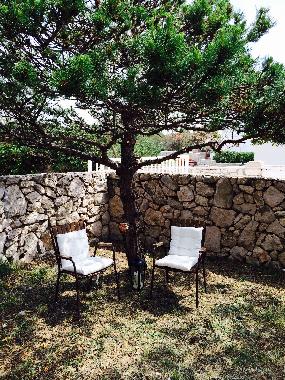 Holiday House in Pag (Zadarska) or holiday homes and vacation rentals