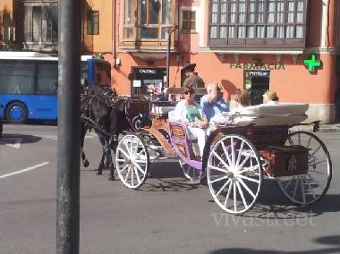 Holiday Apartment in mallorca (Mallorca) or holiday homes and vacation rentals