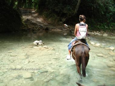 Holiday Apartment in Las Terrenas Centro (Samana) or holiday homes and vacation rentals