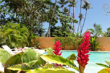 Holiday Apartment in Las Terrenas Centro (Samana) or holiday homes and vacation rentals