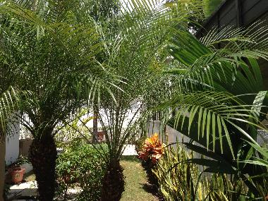 Bed and Breakfast in Playa del Carmen (Quintana Roo) or holiday homes and vacation rentals