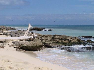 Bed and Breakfast in Playa del Carmen (Quintana Roo) or holiday homes and vacation rentals
