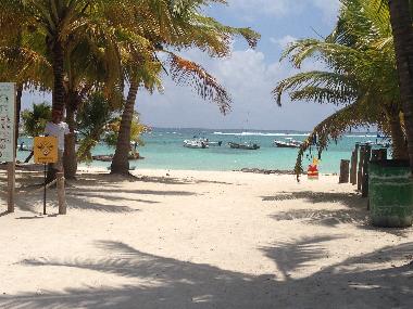 Bed and Breakfast in Playa del Carmen (Quintana Roo) or holiday homes and vacation rentals