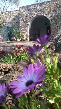 Villa in Tricase (Lecce) or holiday homes and vacation rentals