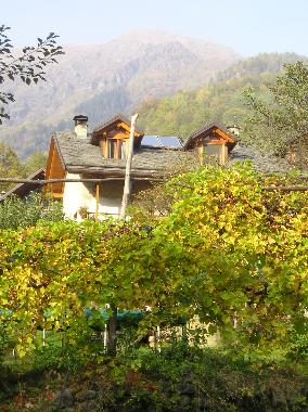 Holiday Apartment in Viganella (VB) (Verbano-Cusio-Ossola) or holiday homes and vacation rentals