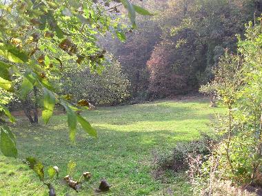 Holiday Apartment in Viganella (VB) (Verbano-Cusio-Ossola) or holiday homes and vacation rentals