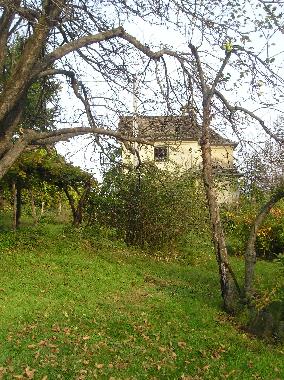 Holiday Apartment in Viganella (VB) (Verbano-Cusio-Ossola) or holiday homes and vacation rentals