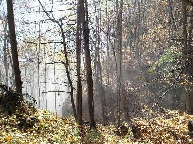 Holiday Apartment in Viganella (VB) (Verbano-Cusio-Ossola) or holiday homes and vacation rentals