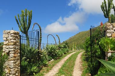 Villa Colombaia - Costa Romita