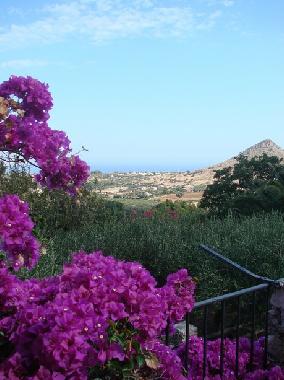 Villa Colombaia - Costa Romita