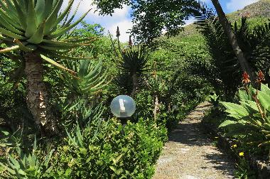 Holiday Apartment in Castellammare del Golfo (Trapani) or holiday homes and vacation rentals