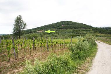 Holiday House in Secovlje (Piran) or holiday homes and vacation rentals