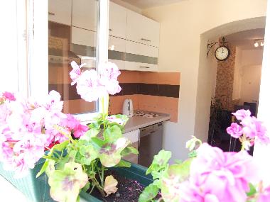 Look from the garden