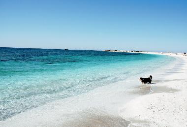 Holiday Apartment in Cabras (Oristano) or holiday homes and vacation rentals