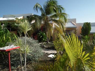 Holiday Apartment in Curacao (Curacao) or holiday homes and vacation rentals