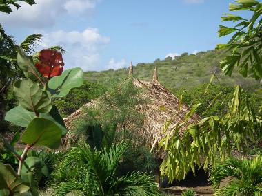 Holiday Apartment in Curacao (Curacao) or holiday homes and vacation rentals