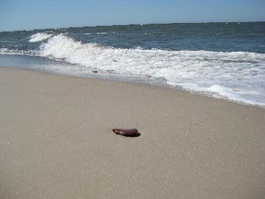 Holiday House in Dźwirzyno  (Zachodniopomorskie) or holiday homes and vacation rentals