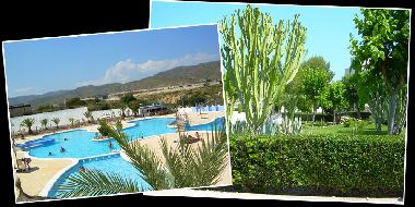 Holiday Apartment in campello (Alicante / Alacant) or holiday homes and vacation rentals