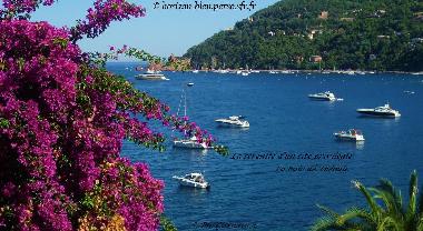 Holiday Apartment in Thoule sur Mer (Alpes-Maritimes) or holiday homes and vacation rentals