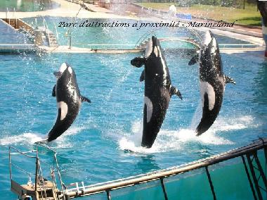 Holiday Apartment in Thoule sur Mer (Alpes-Maritimes) or holiday homes and vacation rentals