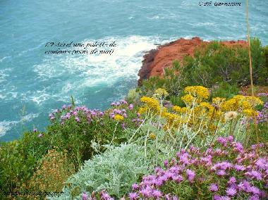 Holiday Apartment in Thoule sur Mer (Alpes-Maritimes) or holiday homes and vacation rentals