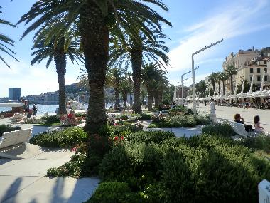 Bed and Breakfast in Split (Splitsko-Dalmatinska) or holiday homes and vacation rentals