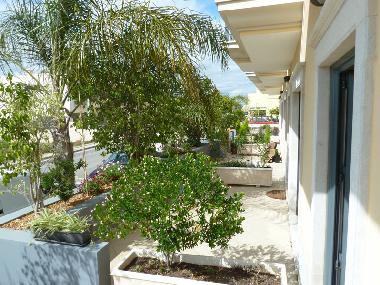 Holiday House in Albufeira (Algarve) or holiday homes and vacation rentals