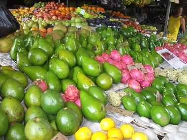 Villa in Albion (Black River) or holiday homes and vacation rentals