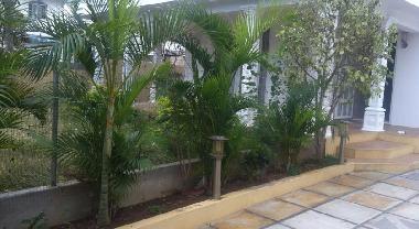 Villa in Albion (Black River) or holiday homes and vacation rentals