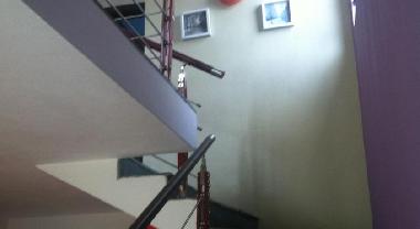 Villa in Albion (Black River) or holiday homes and vacation rentals