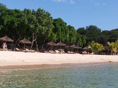 Villa in Albion (Black River) or holiday homes and vacation rentals