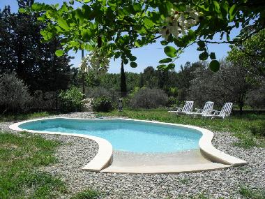 Villa in Saint-Maximin (Var) or holiday homes and vacation rentals