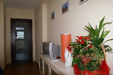 Holiday Apartment in Warsaw (Mazowieckie) or holiday homes and vacation rentals